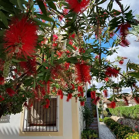 Very Very Vera Beach - Freshly Renovated Exterior foto